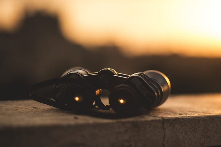 Search binoculars